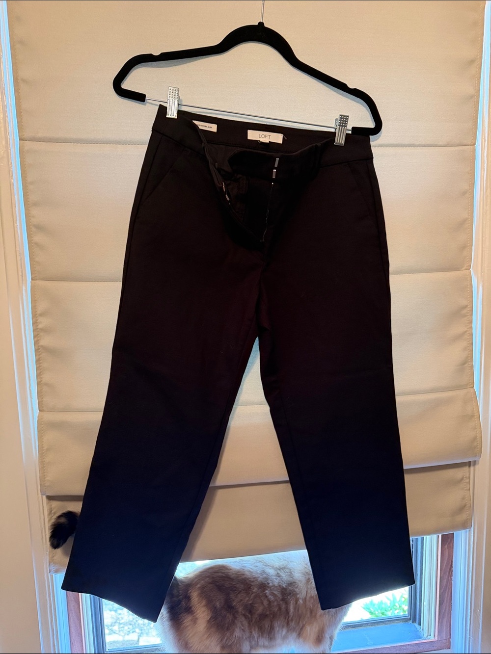 LOFT Black Cropped Ankle Pants